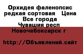 Орхидея фаленопсис редкая сортовая › Цена ­ 800 - Все города  »    . Чувашия респ.,Новочебоксарск г.